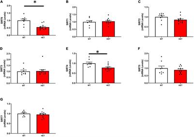 Sirtuin 6 Protects Against Oxidative Stress and Vascular Dysfunction in Mice